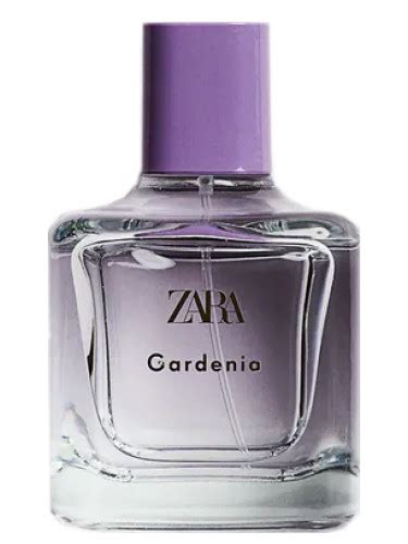 perfume de gardenias obra|perfume gardenia de zara.